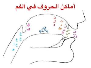 11695959_128324890842412_6733827379108921107_n