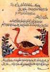 Al-Jahiz_-_pages_from_Kitaab_al_Hayawaan_4