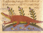 صورة التمساح من كتاب الحيوان&nbsp;للجاحظ