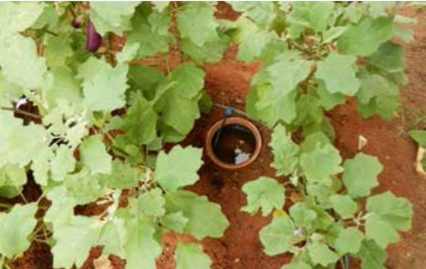 طريقة الري بواسطة الجرار