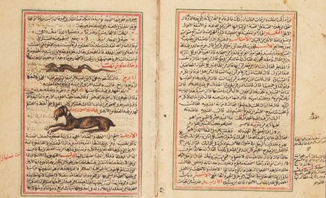 66908a9e346502aa1c35b1dbf0ebae8d1