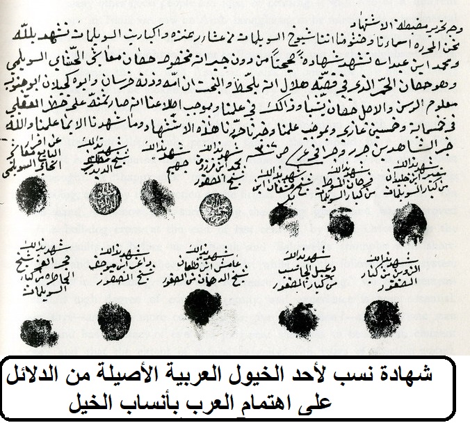 شهادة نسب لأحد الخيول العربية الأصيلة من الدلائل على اهتمام العرب بأنساب الخيل