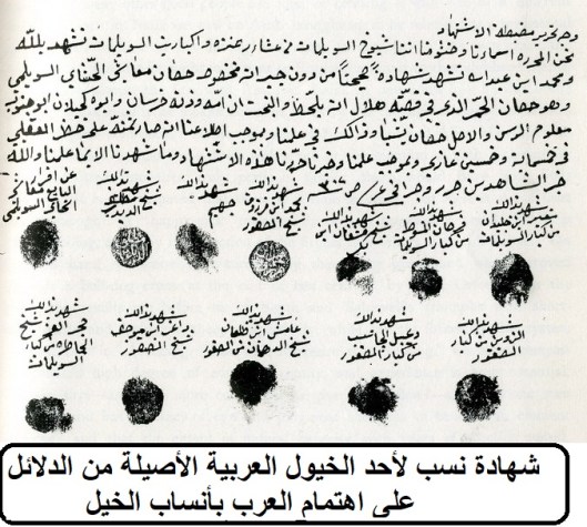شهادة نسب لأحد الخيول العربية الأصيلة من الدلائل على اهتمام العرب بأنساب الخيل