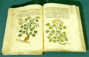 3olamae2_almithaq_111