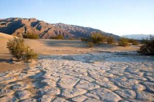 860ac9b40a296beef7bb817666c10a78-446x297