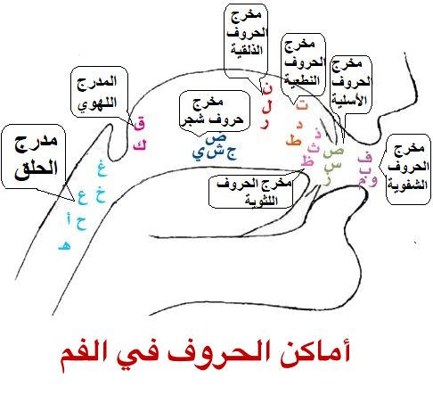 6142_461712273934759_447940368_n1