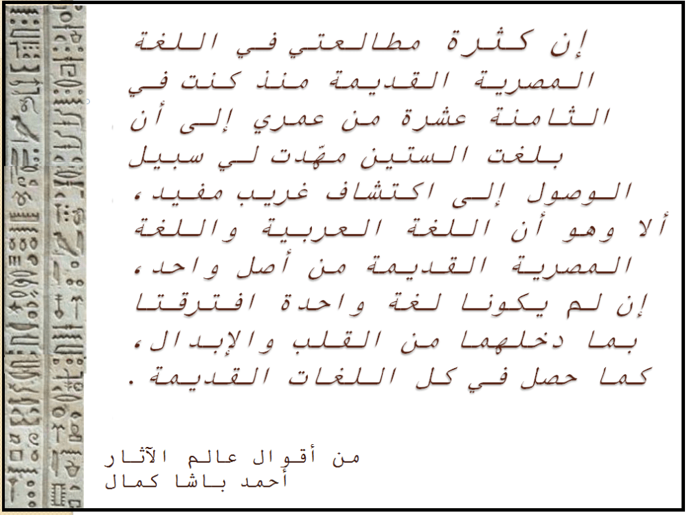 أحمد كمال باشا.png