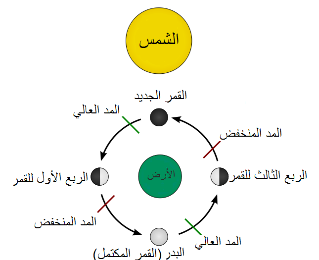 %d8%a7%d9%84%d9%85%d8%af-%d9%88%d8%a7%d9%84%d8%ac%d8%b2%d8%b1