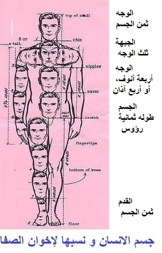 جسم الانسان و نسبها لإخوان الصفا