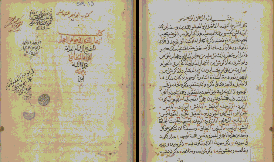 كتاب أزهار الأفكار في جواهر الأحجار