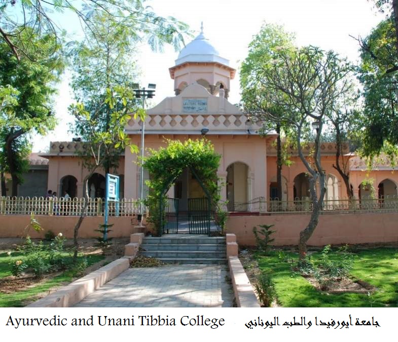 ayurvedic-and-unani-tibbia-college-board-karol-bagh-delhi-hospitals-yru99.jpg