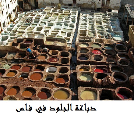 دباغة الجلود في فاس.