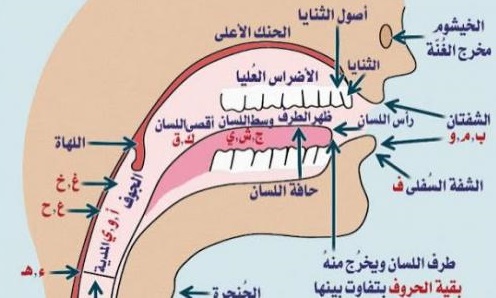 مدرج صوتي للغة العربية