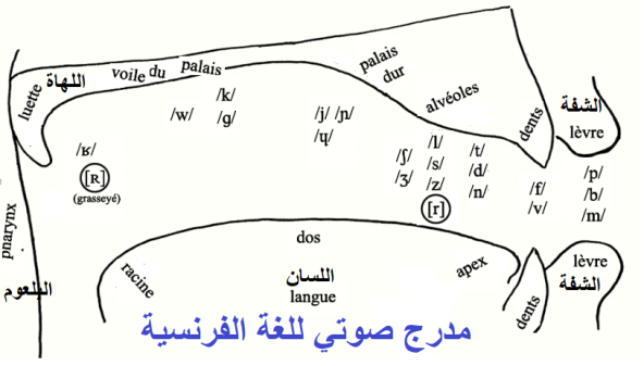 مدرج صوتي للغة الفرنسية