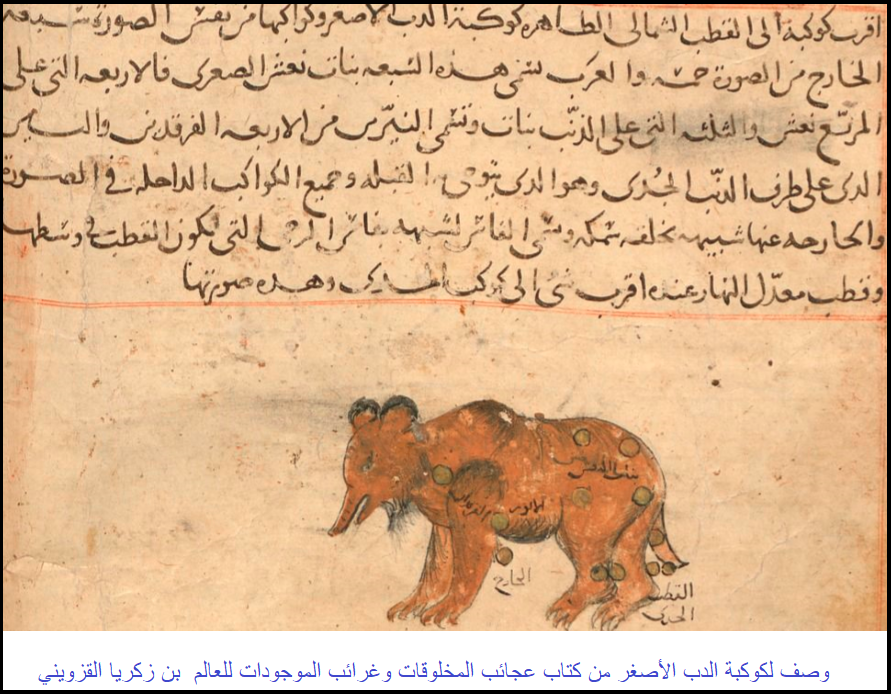 وصف لكوكبة الدب الأصغر من كتاب عجائب المخلوقات وغرائب