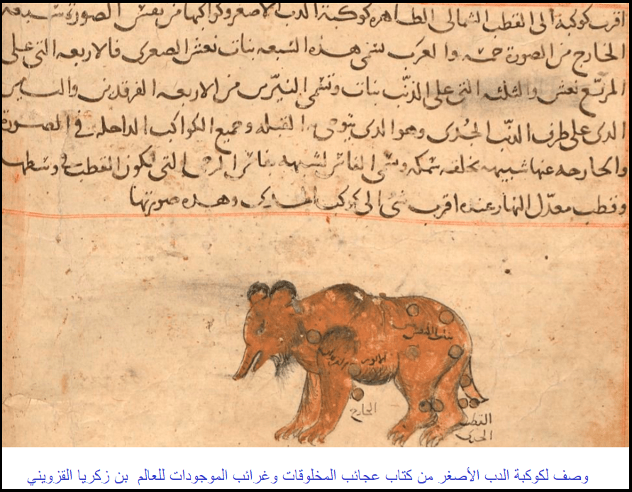 وصف لكوكبة الدب الأصغر من كتاب عجائب المخلوقات وغرائب